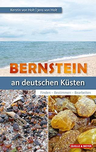 Bernstein an unseren Küsten: Finden – Bestimmen – Bearbeiten