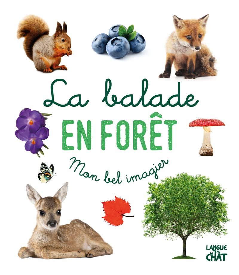 La balade en forêt