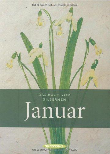 Das Buch vom silbernen Januar