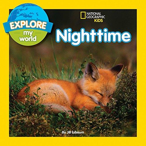 Explore My World Nighttime