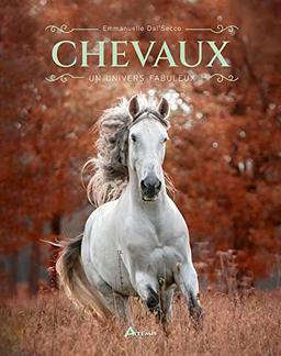 Chevaux : un univers fabuleux