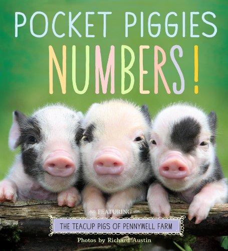 Pocket Piggies: Counting Book