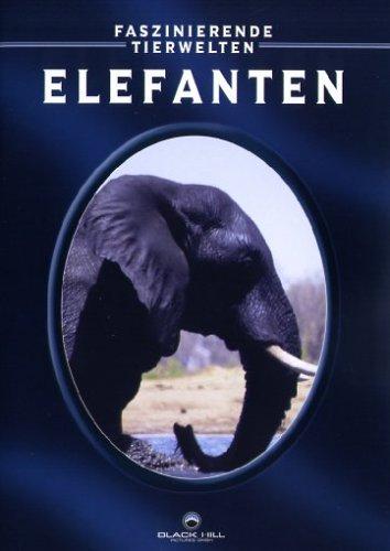 Elefanten