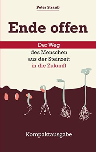 Ende offen – Der Weg des Menschen aus der Steinzeit in die Zukunft: Kompaktausgabe