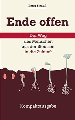 Ende offen – Der Weg des Menschen aus der Steinzeit in die Zukunft: Kompaktausgabe