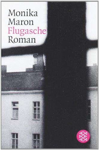 Flugasche: Roman