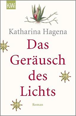 Das Geräusch des Lichts: Roman