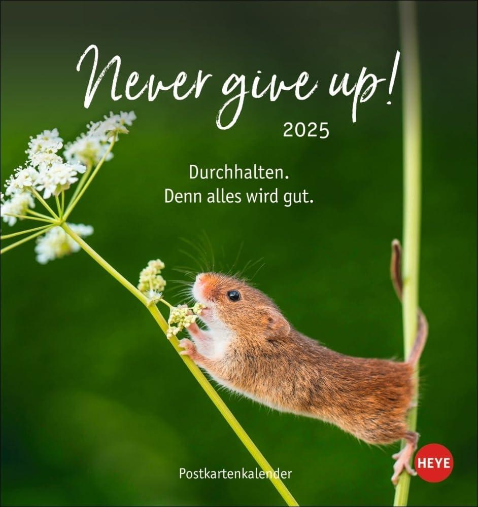 Never give up! Postkartenkalender 2025: Süße Tiere in einem Postkarten-Fotokalender mit motivierenden Botschaften. Kleiner Kalender zum Aufstellen und Aufhängen. (Postkartenkalender Heye)