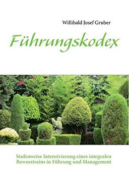 Führungskodex: Stufenweise Intensivierung eines integralen Bewusstseins in Führung und Management