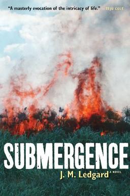 Submergence