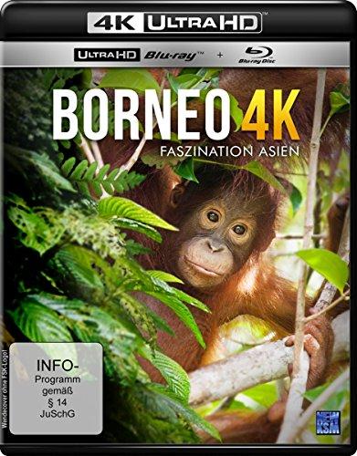 Borneo - Faszination Asien  (4K Ultra HD) (+ Blu-ray)