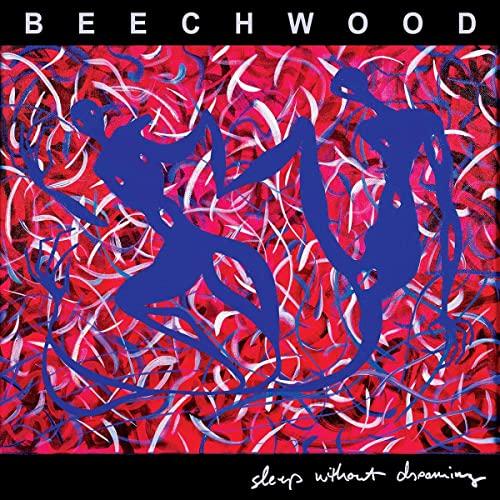 Sleep Without Dreaming [Vinyl LP]