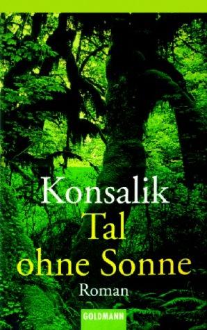 Tal ohne Sonne. Roman