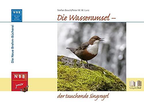 Die Wasseramsel - der tauchende Singvogel (NBB junior)