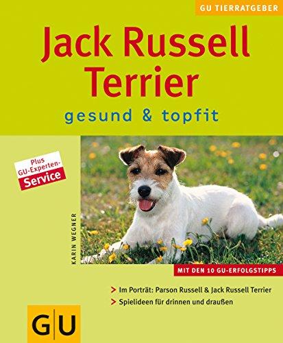 Jack Russell Terrier gesund & topfit