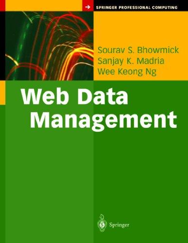 Web Data Management: A Warehouse Approach (Springer Professional Computing)