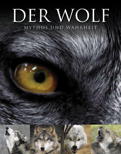 Abenteuer Wildnis: Der Wolf: Mythos und Wahrheit