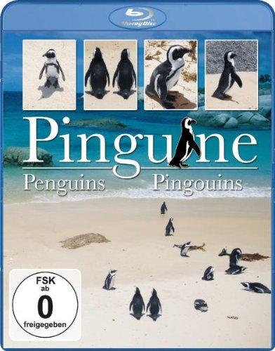 Pinguine [Blu-ray]