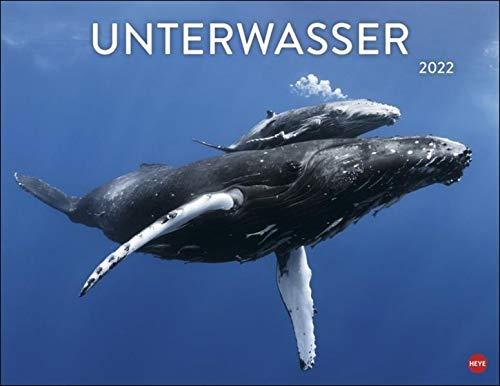 Unterwasser Posterkalender