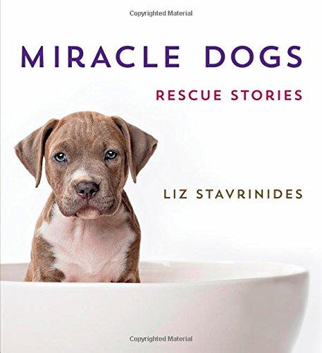 Miracle Dogs: Rescue Stories