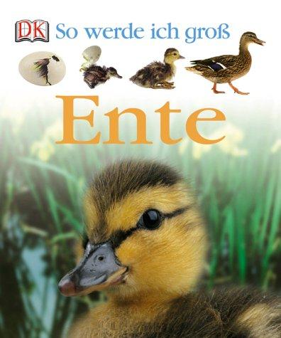 So werde ich groß. Ente