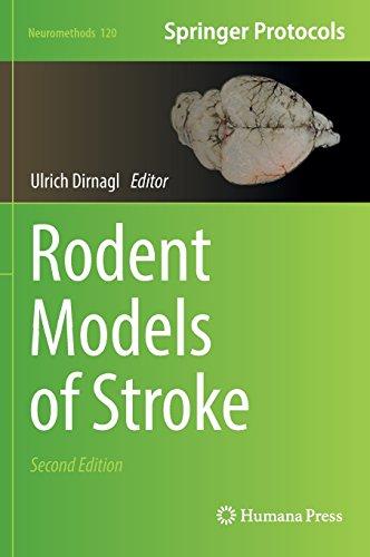 Rodent Models of Stroke (Neuromethods)