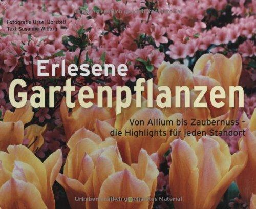 Erlesene Gartenpflanzen: Von Allium bis Zaubernuss - die Highlights für jeden Standort