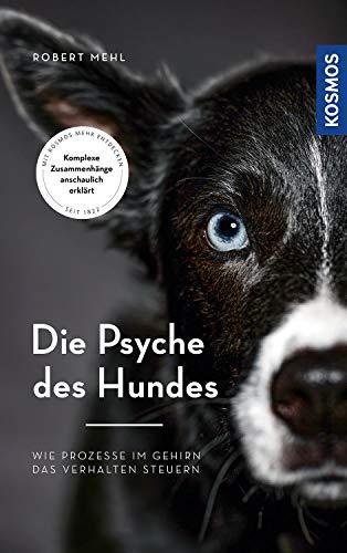 Die Psyche des Hundes: Wie Prozesse im Gehirn das Verhalten steuern