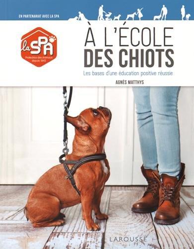 A l'école des chiots : les bases d'une éducation positive réussie