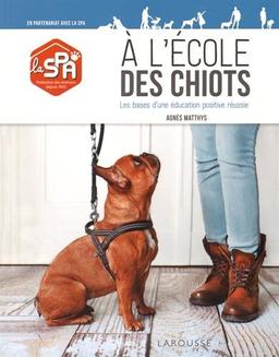 A l'école des chiots : les bases d'une éducation positive réussie