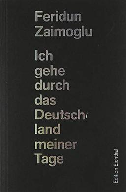 Ich gehe durch das Deutschland meiner Tage: 27 Erfahrungen in meinem Land