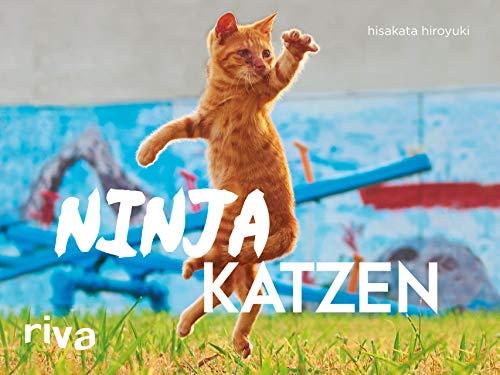 Ninjakatzen