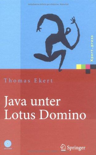 Java unter Lotus Domino: Know how für die Anwendungsentwicklung