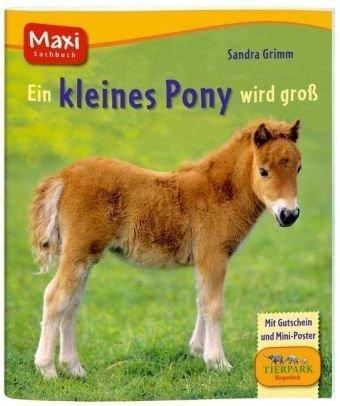 Ein kleines Pony wird groß