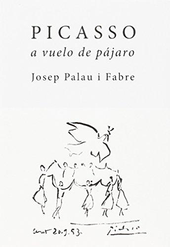 Picasso a vuelo de pájaro