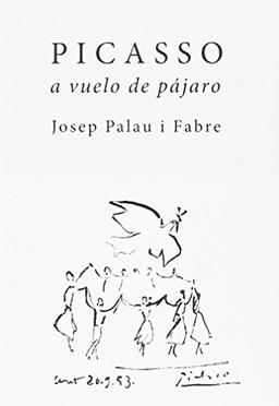 Picasso a vuelo de pájaro