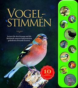 Vogelstimmen: Lernen Sie den Gesang und die Merkmale unserer bekanntesten gefiederten Freunde kennen.