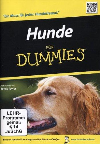 Hunde für Dummies