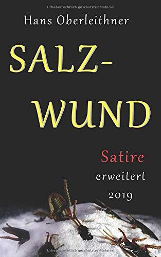 SALZWUND: Dystopischer Roman aus der Welt der Wissenschaft