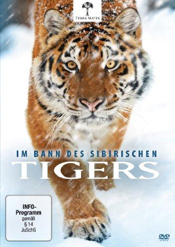 Im Bann des Sibirischen Tigers