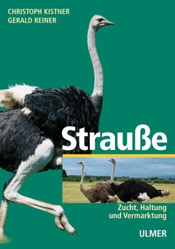 Strausse