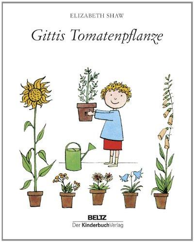 Gittis Tomatenpflanze