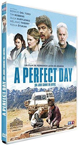 A perfect day [FR Import]