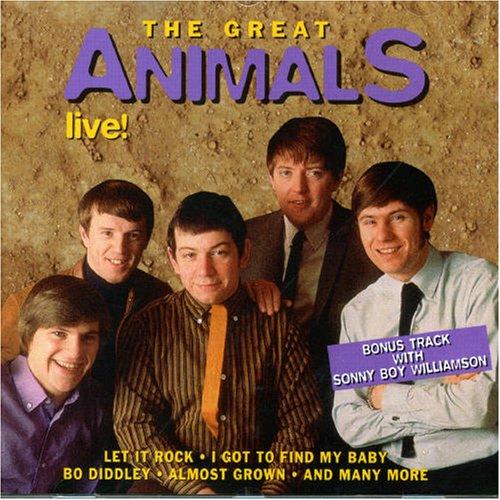 The Great Animals-Live