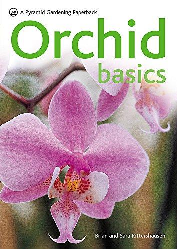 Orchid Basics (Pyramids)