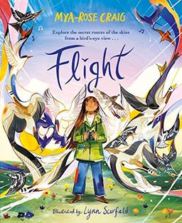 Flight: Explore the secret routes of the skies from a bird's-eye view…