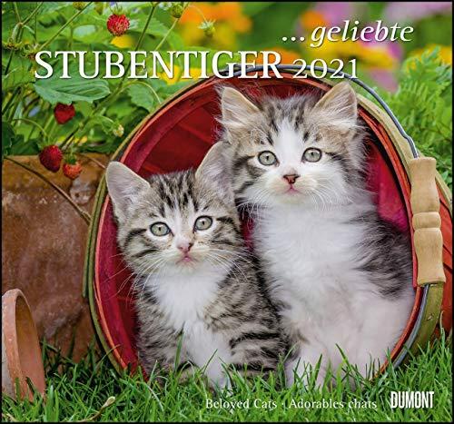 ... geliebte Stubentiger 2021 - DUMONT Wandkalender - mit den wichtigsten Feiertagen - Format 38,0 x 35,5 cm