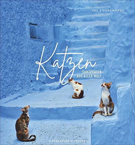 Bildband: Katzen - Samtpfoten aus aller Welt. Fantastische Fotografien untermalt mit poetischen Zitaten. Ein Muss für alle Katzenliebhaber! Mit Infos ... der Katze und ihrer weltweiten Verbreitung.