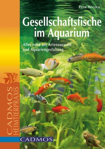 Gesellschaftsfische im Aquarium: Alles rund um Artenauswahl und Aquariengestaltung