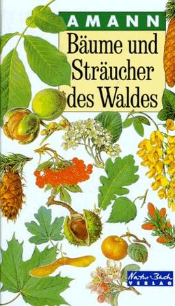 Bäume und Sträucher des Waldes